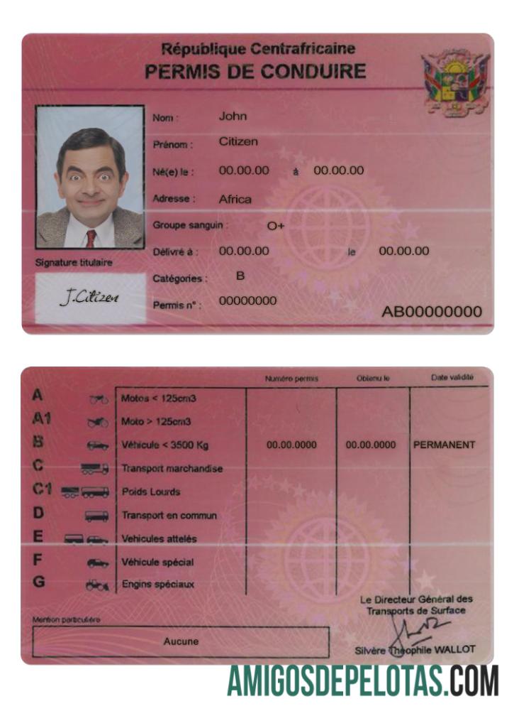 Carta de condução centro-africana exemplo real